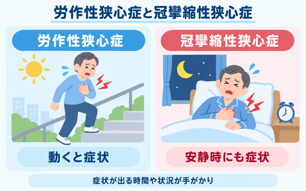労作性狭心症と冠攣縮性狭心症を比較した図。労作性狭心症は階段や坂道など体を動かしたとき、冠攣縮性狭心症は夜間や早朝の安静時にも症状が出ることを示している。