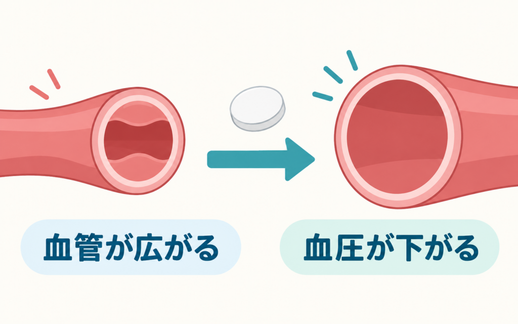 アムロジピンが血管を広げて血圧を下げるしくみの図。狭くなった血管と広がった血管を並べ、カルシウム拮抗薬の錠剤と矢印で「血管が広がる」「血圧が下がる」という流れを示している