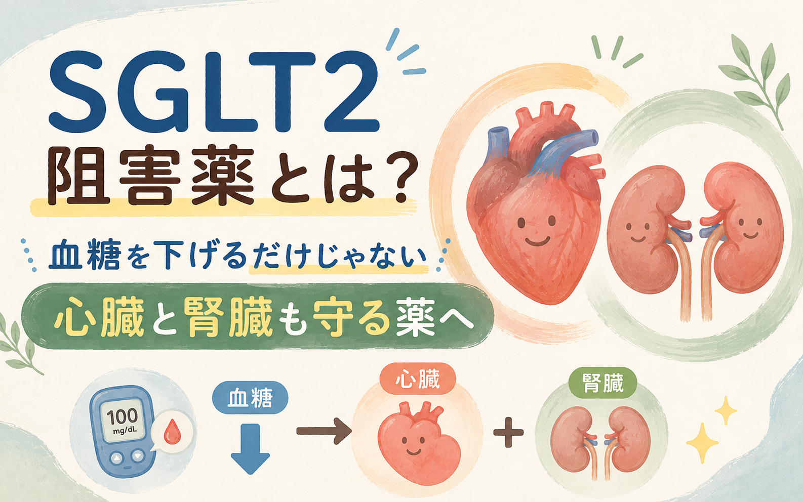 「SGLT2阻害薬とは？血糖を下げるだけじゃない　心臓と腎臓も守る薬へ」というタイトルを示すアイキャッチ画像。血糖値100mg/dLの測定器から矢印で「心臓」「腎臓」につながる図と、笑顔の心臓・腎臓のイラストを配置している