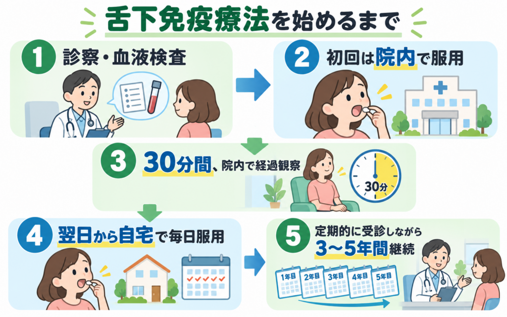 舌下免疫療法を始めるまでの5つのステップ（診察・血液検査、院内での初回服用、30分間の経過観察、翌日からの自宅服用、3〜5年間の定期通院）を示した図解
