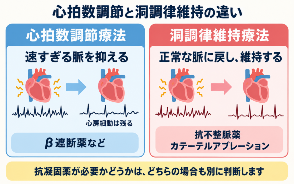 心拍数調節療法と洞調律維持療法の違いを示す図解。心拍数調節療法では速い脈を抑えるが心房細動自体は残り、洞調律維持療法では抗不整脈薬やカテーテルアブレーションで正常な脈に戻し維持することを示す。抗凝固薬の必要性はどちらの場合も別に判断することも示す