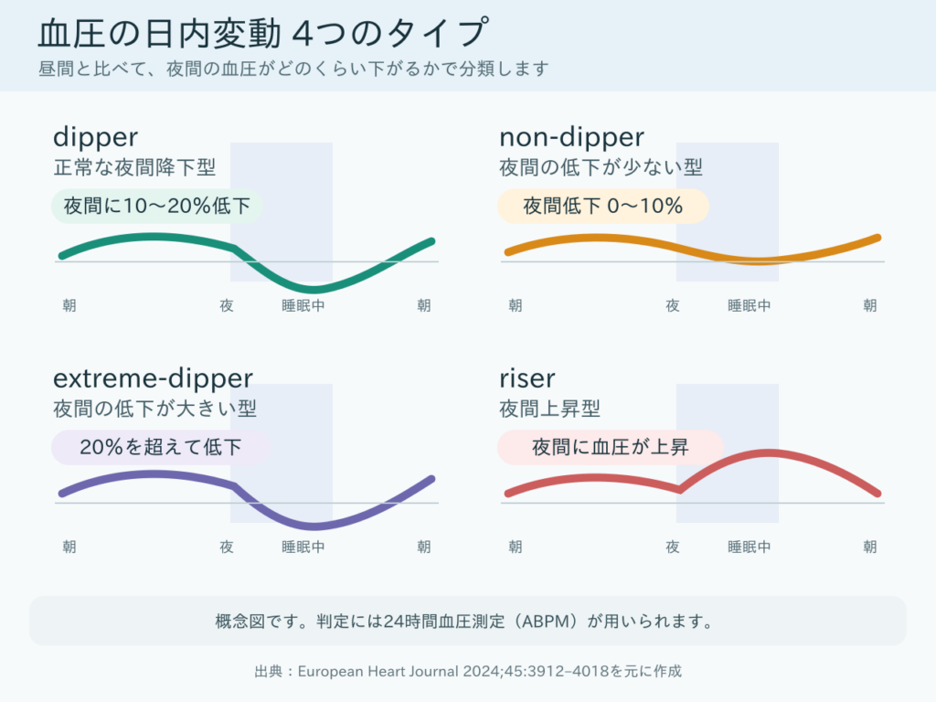 血圧の日内変動4つのタイプを比較した図解。dipper(正常な夜間降下型・夜間に10~20%低下)、non-dipper(夜間の低下が少ない型・夜間低下0~10%)、extreme-dipper(夜間の低下が大きい型・20%を超えて低下)、riser(夜間上昇型・夜間に血圧が上昇)の血圧の波形を、朝から睡眠中を経て翌朝までの時間軸で並べている