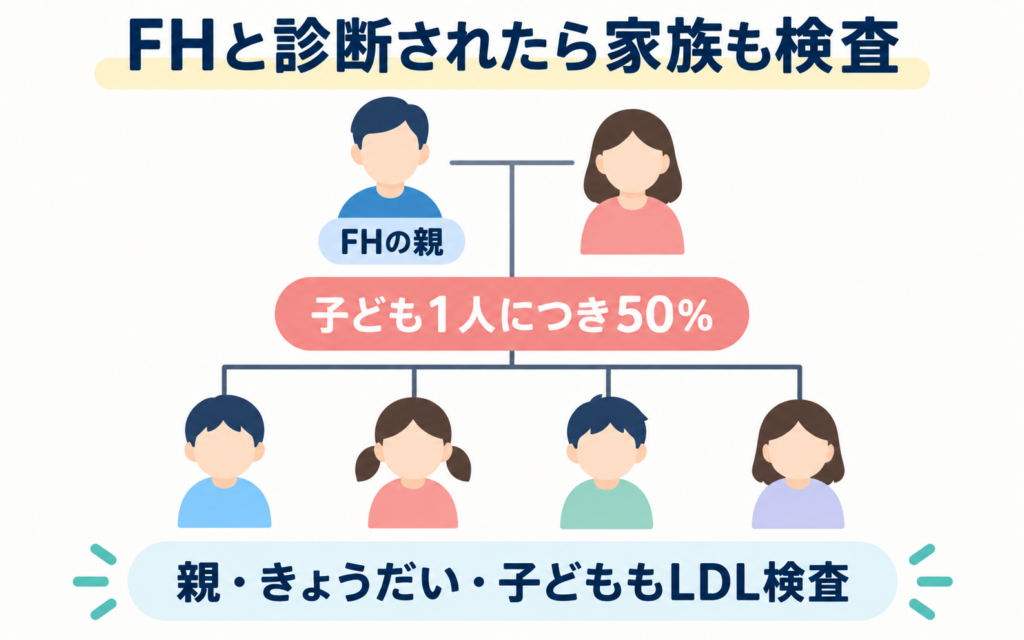 家族性高コレステロール血症(FH)の遺伝と家族の検査。親の一方がFHの場合、子ども1人につき50%の確率で受け継ぎ、親・きょうだい・子どももLDLコレステロールを検査することを示した家系図