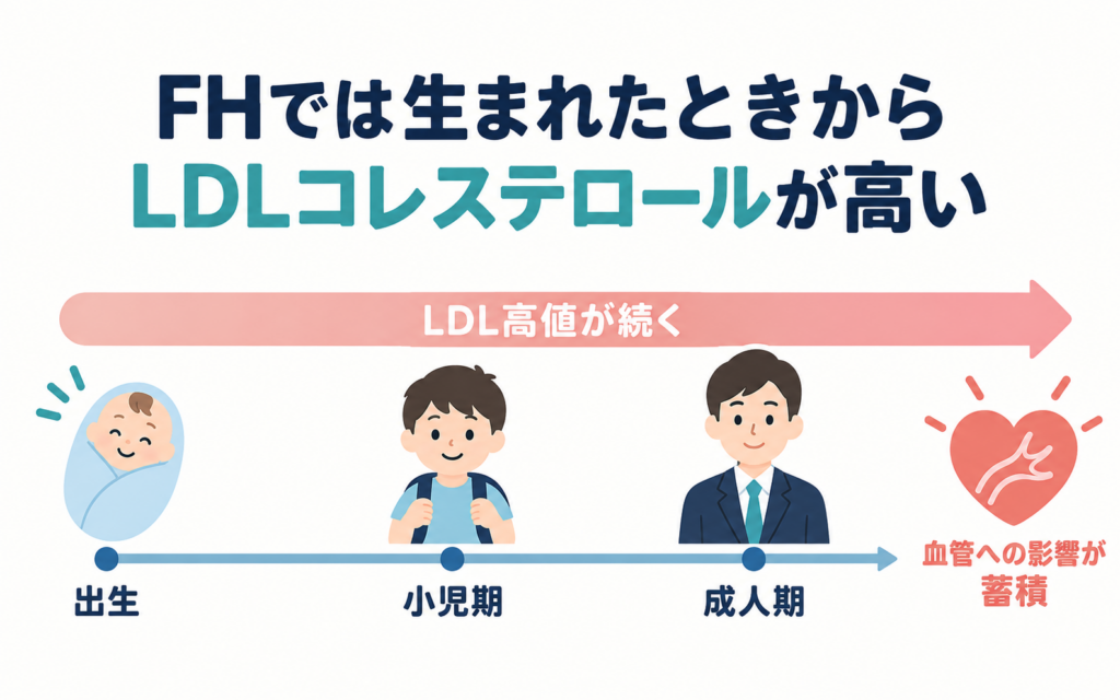 家族性高コレステロール血症(FH)では生まれたときからLDLコレステロールが高く、出生から小児期・成人期まで高値が続いて血管への影響が蓄積することを示した図