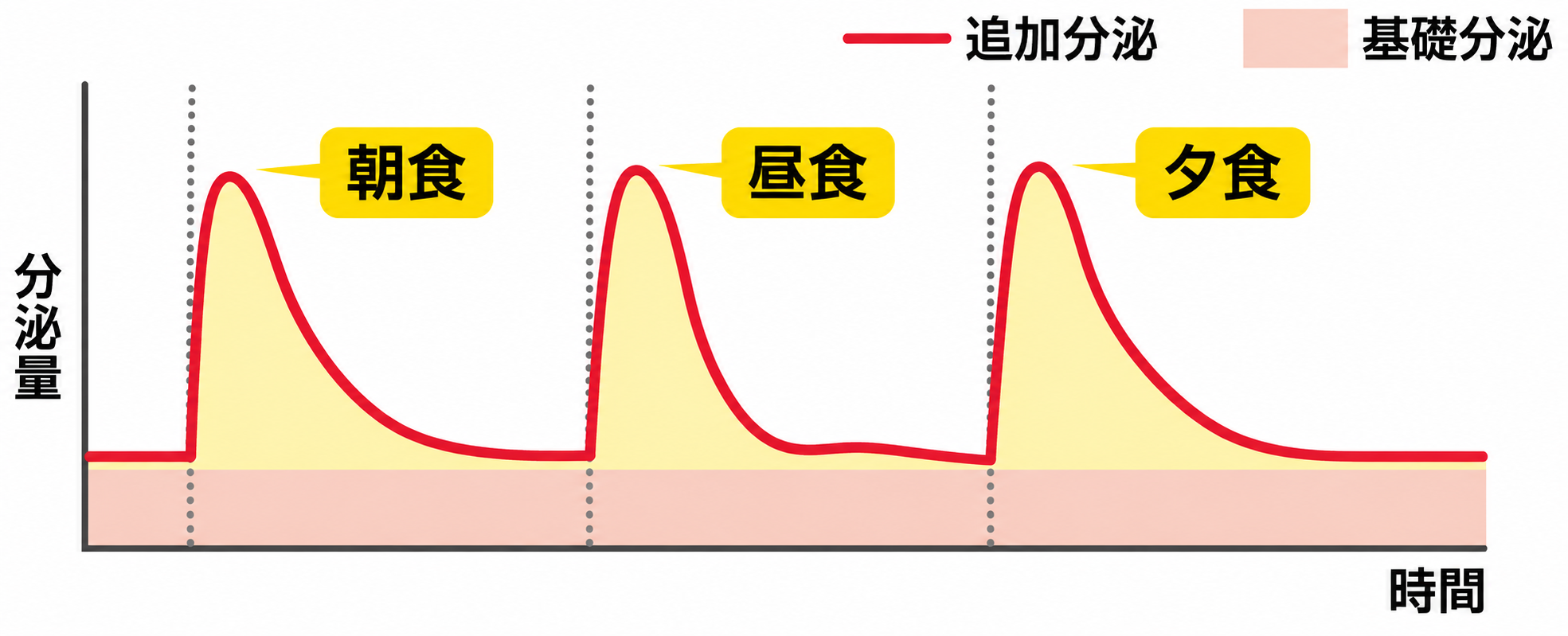 基礎分泌と、朝食・昼食・夕食に合わせて増える追加分泌を示したインスリン分泌パターンの図