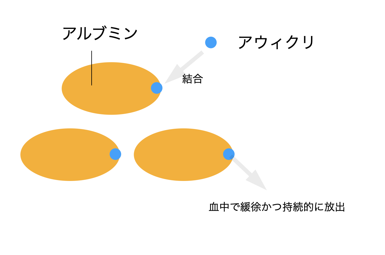 アウィクリが血液中のアルブミンと結合し、そこから緩やかに放出されて約1週間効果が続く仕組みを示した図