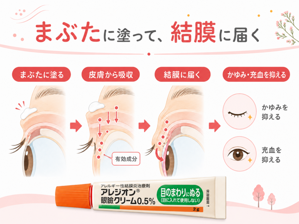「まぶたに塗って、結膜に届く」という仕組みを示すインフォグラフィック。まぶたに塗る→皮膚から吸収→結膜に届く→かゆみ・充血を抑える、という4段階を目の断面図とともに示している