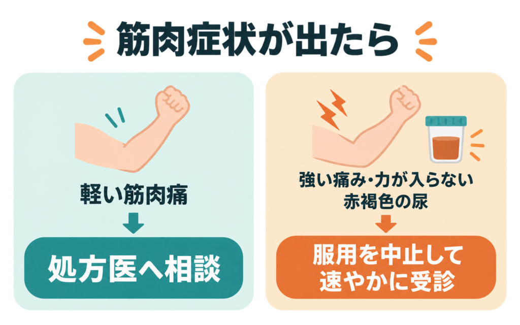 スタチン服用中に筋肉症状が出たときの対応。軽い筋肉痛は処方医へ相談し、強い痛みや力が入らない、赤褐色の尿がある場合は服用を中止して速やかに受診することを示した図