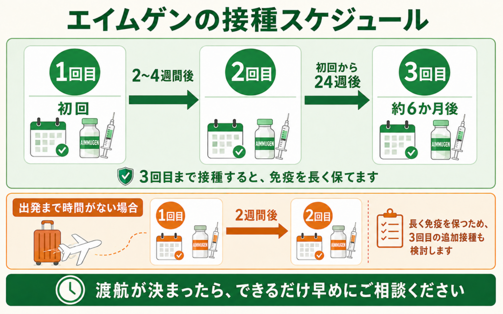 A型肝炎ワクチン エイムゲンの接種スケジュール図。1回目接種の2〜4週間後に2回目、初回から24週後（約6か月後）に3回目を接種すること、出発まで時間がない場合は2週間後に2回目を接種する短縮スケジュールがあることを示している
