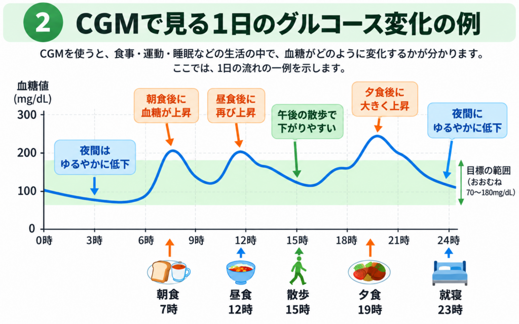 CGMで確認できる1日のグルコース変化の例。食事や運動、睡眠による血糖の上下を示したグラフ