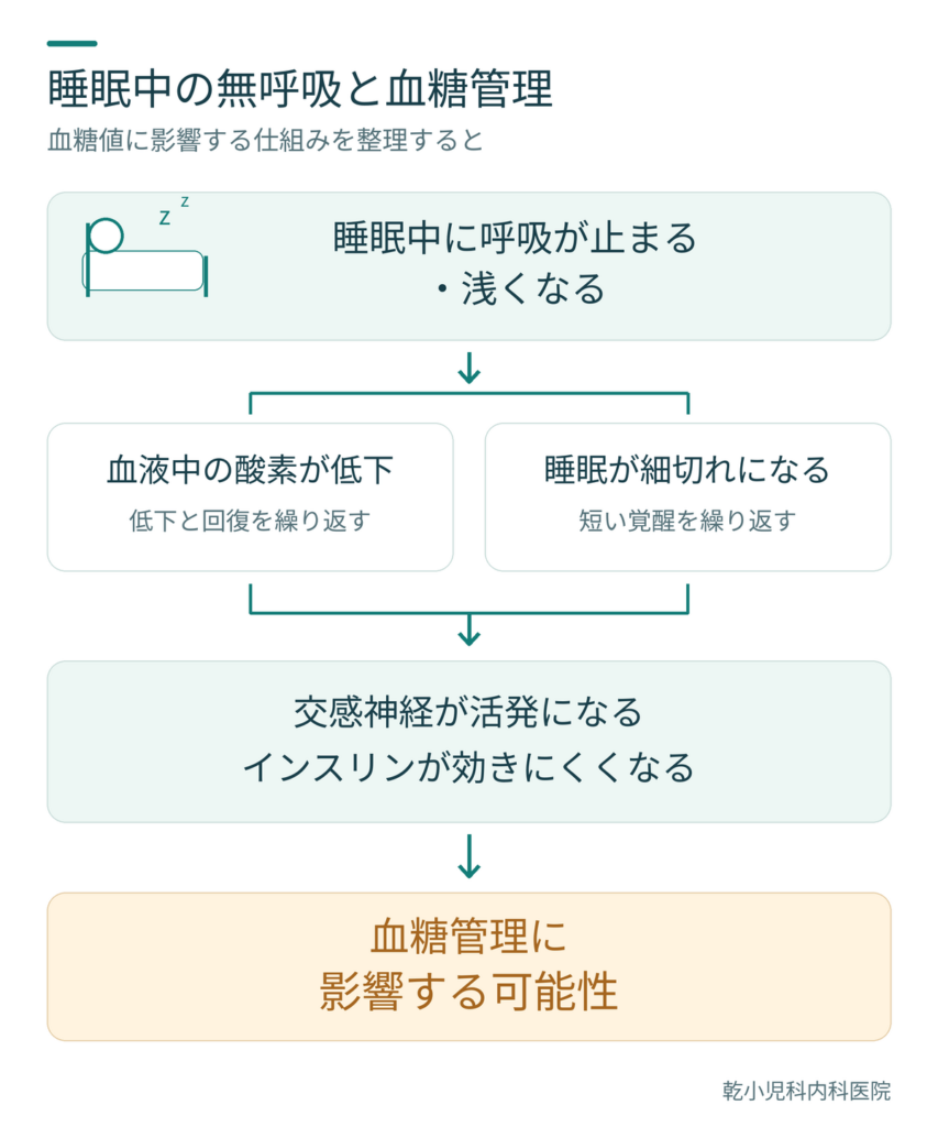 睡眠中の無呼吸と血糖管理の関係を示した図。睡眠中に呼吸が止まる・浅くなると、血液中の酸素の低下と睡眠の分断が繰り返され、交感神経が活発になりインスリンが効きにくくなることで、血糖管理に影響する可能性がある